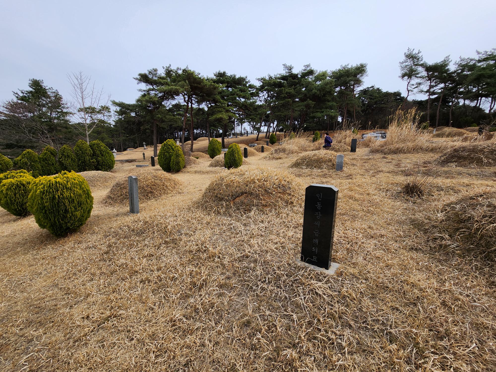 2000769928_CGpWq3al_9f550aff9569738191f6dfa28d2deb1ecce7c69b.jpg 이미지크게보기
