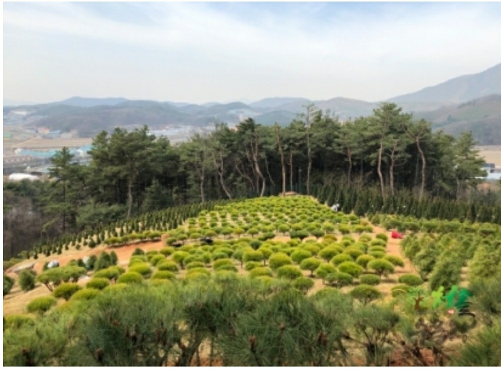 2000769928_Is9lzW3Q_81541781e4454a9553cbdb7a250f63ba24f7b48e.jpg 이미지크게보기