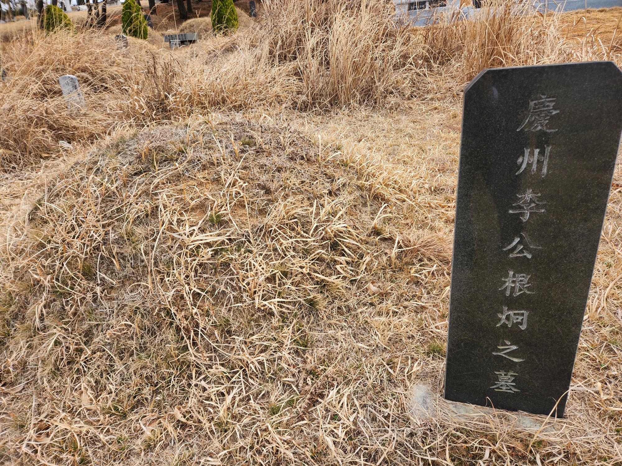 2000769928_KjPdLNFR_5628f6facc092adf9241b04224316f8b6567e1e7.jpg 이미지크게보기