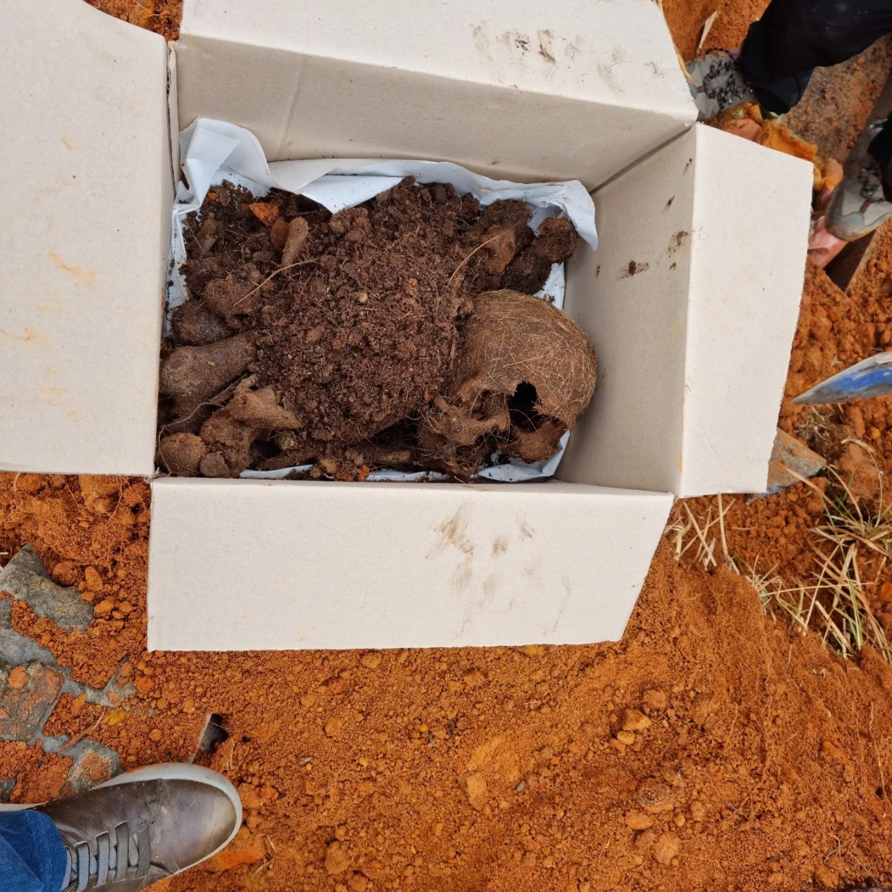 2000769928_O5FjCT0m_89bf40d476af1624e879880c56d4bd25e976210e.jpg 이미지크게보기