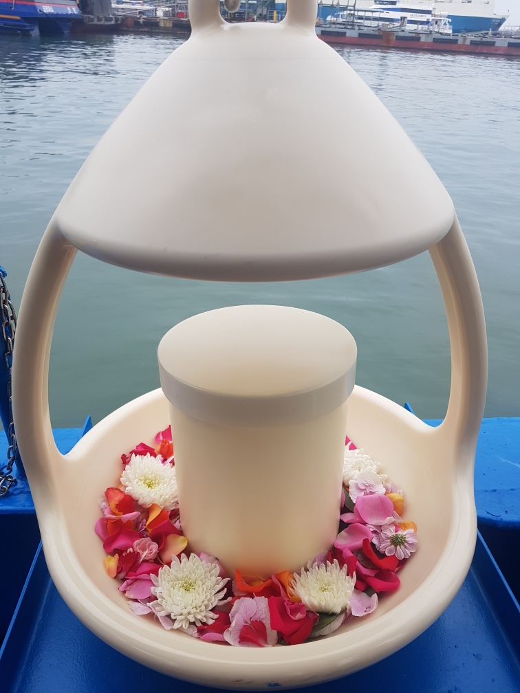 2000769928_iToyDuFQ_0621e9e2d4ec1273cea938c24bbf177d13b90431.jpg 이미지크게보기