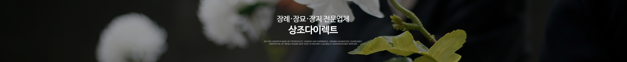 상조다이렉트_pc