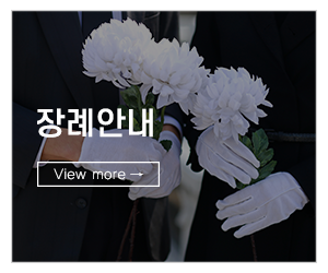 상조다이렉트_메인링크_