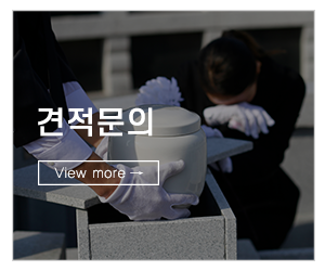 상조다이렉트_메인링크_바이러스솔루션